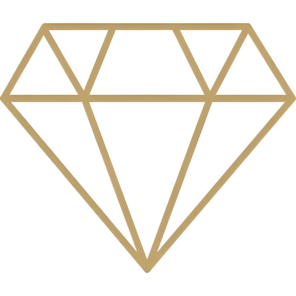 chauffeurVTC-kitpremuim